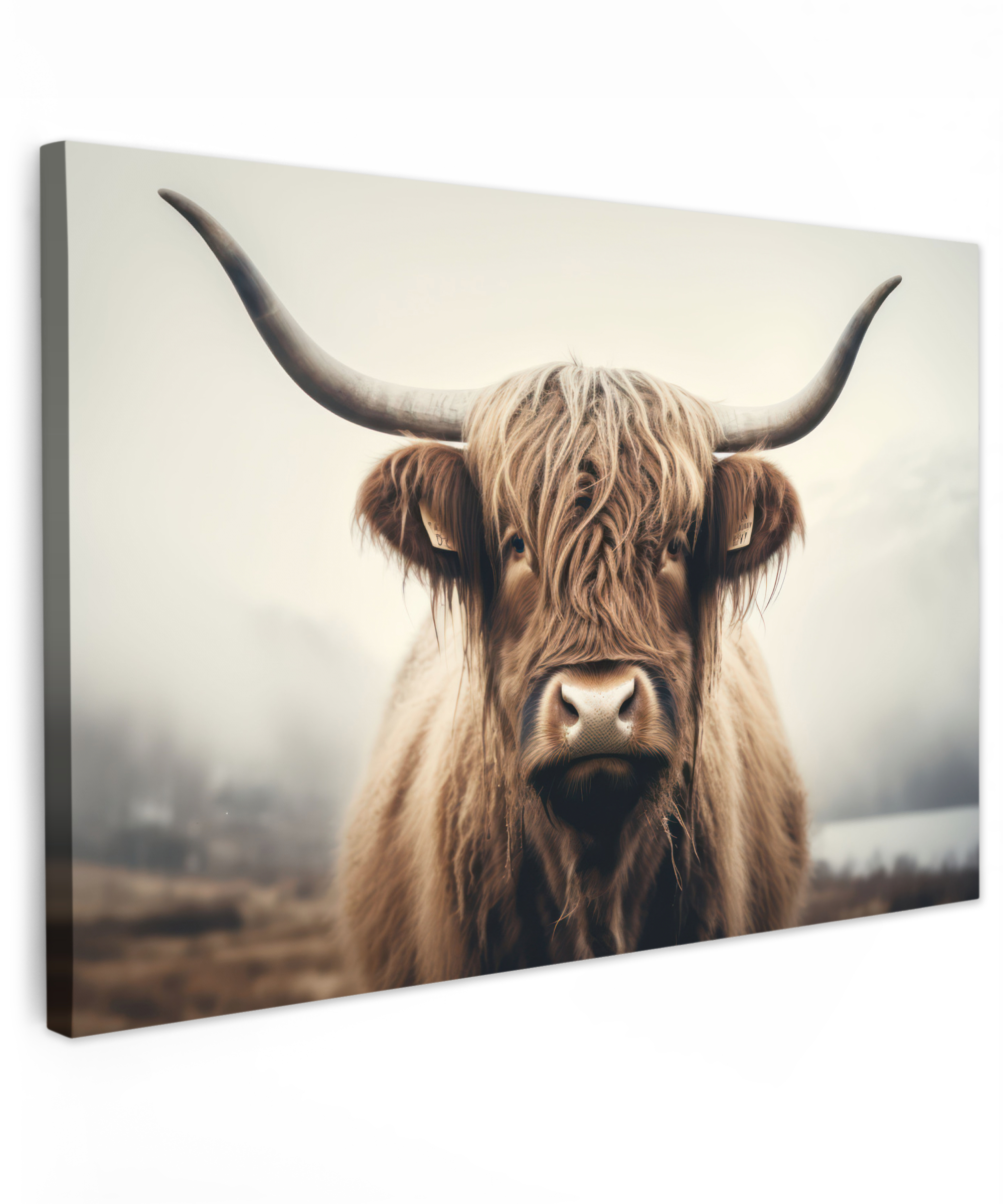 Canvas schilderij - Schotse hooglander - Hoorns - Landschap