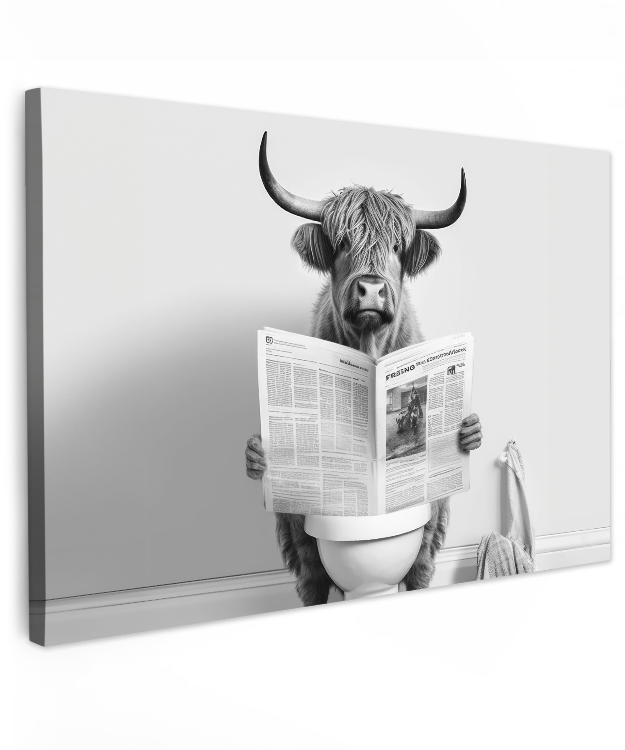 Leinwandbild - Schottischer Highlander - Zeitung - Toilette - WC - Grau - Weiß - Kuh - Hörner